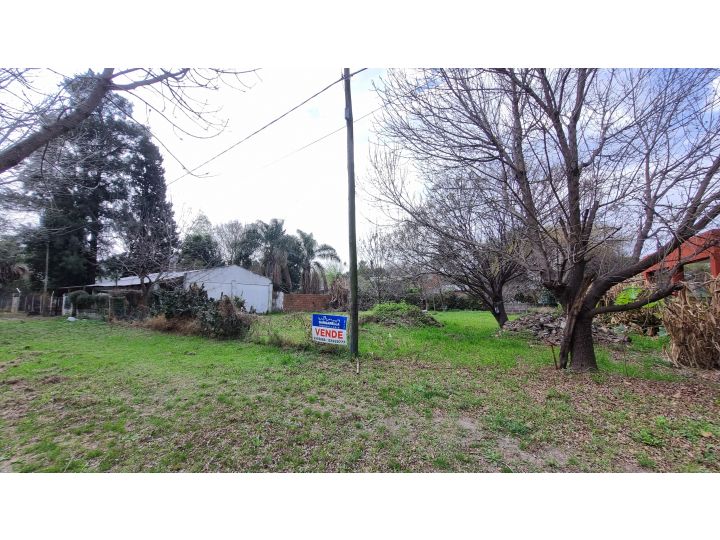 LOS ARRAYANES 1930  -  TERRENO FRENTE A BOSQUE DE LOS CONSTITUYENTES  -