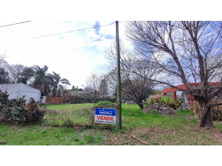 LOS ARRAYANES 1930  - TERRENO FRENTE A BOSQUE DE LOS CONSTITUYENTES -